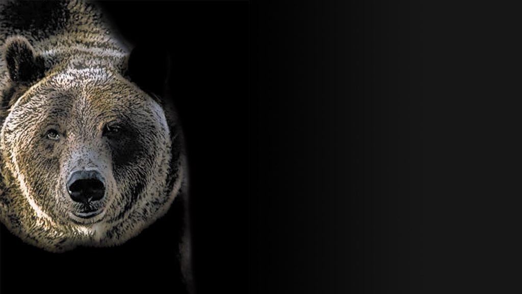 Automatisierung und Software für den Werkzeugbau und Formenbau